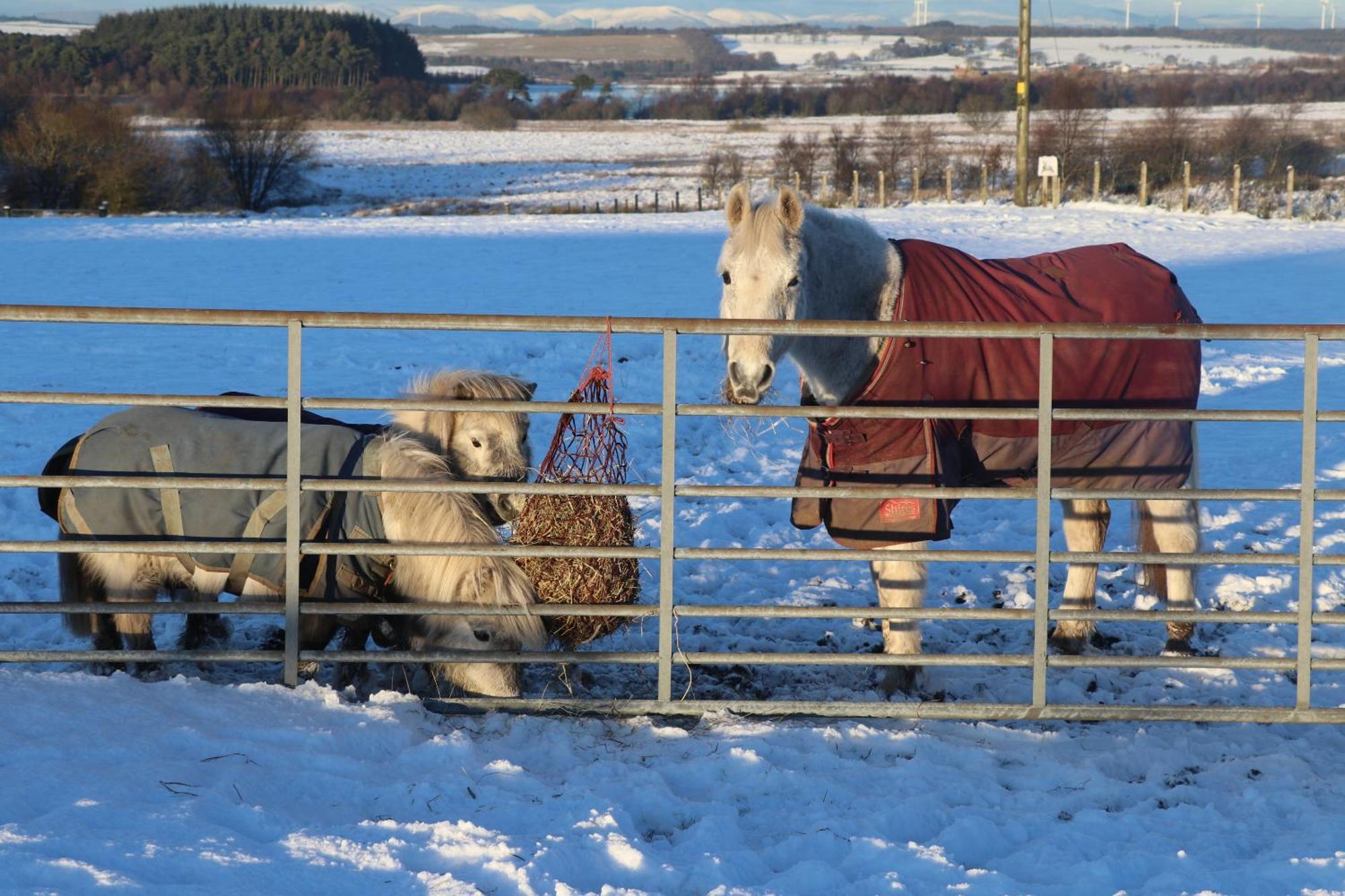 Blairmains Guest House Kirk of Shotts Екстериор снимка